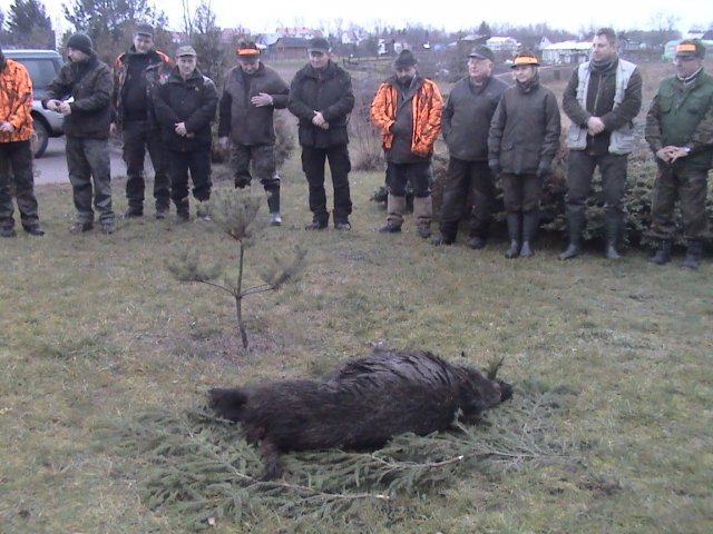 Polowanie zarządów 2015